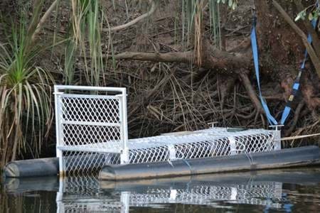 Saltwater Croc Cage