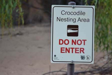 Saltwater Nesting Area