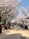 Japan Travel - financial planning 